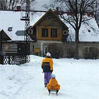 Schlitten fahren